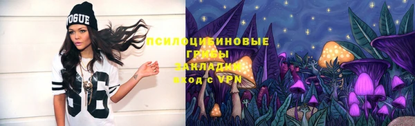 крисы Алексеевка