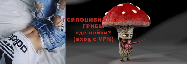 сатива Алексин