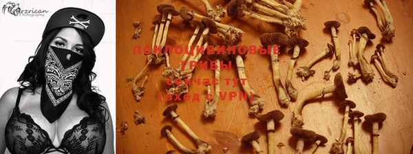 ешки Алзамай