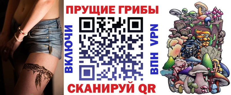 hydra онион  купить наркотики сайты  Черепаново  Галлюциногенные грибы MAGIC MUSHROOMS 